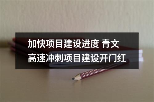 加快项目建设进度 青文高速冲刺项目建设开门红