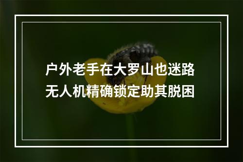 户外老手在大罗山也迷路 无人机精确锁定助其脱困
