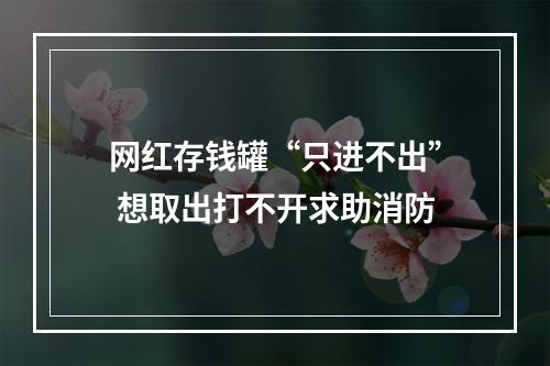 网红存钱罐“只进不出” 想取出打不开求助消防
