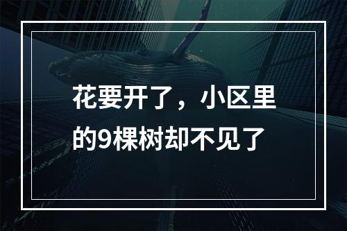 花要开了，小区里的9棵树却不见了