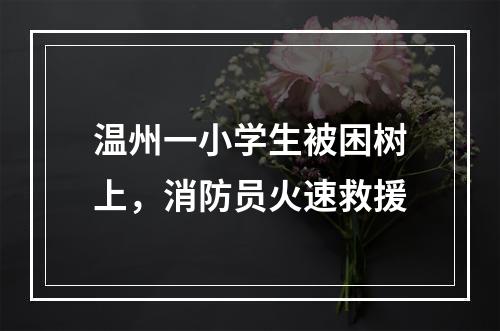 温州一小学生被困树上，消防员火速救援