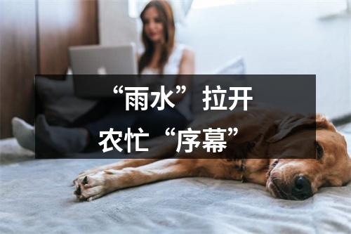 “雨水”拉开农忙“序幕”