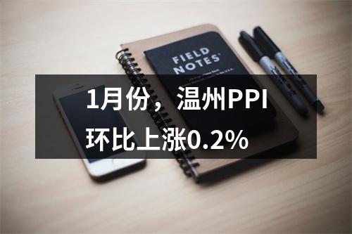 1月份，温州PPI环比上涨0.2%