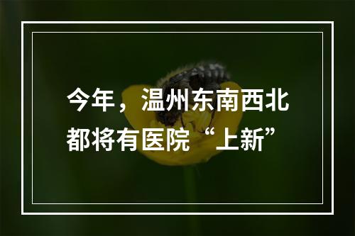 今年，温州东南西北都将有医院“上新”