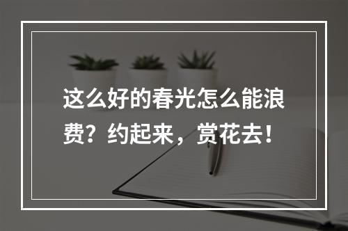 这么好的春光怎么能浪费？约起来，赏花去！