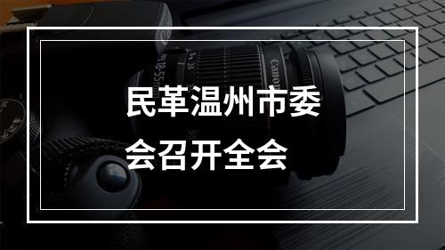 民革温州市委会召开全会