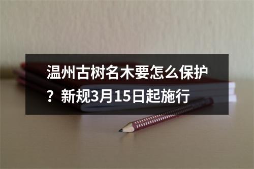 温州古树名木要怎么保护？新规3月15日起施行