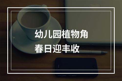 幼儿园植物角春日迎丰收