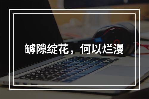 罅隙绽花，何以烂漫