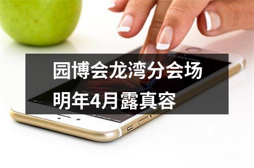 园博会龙湾分会场明年4月露真容