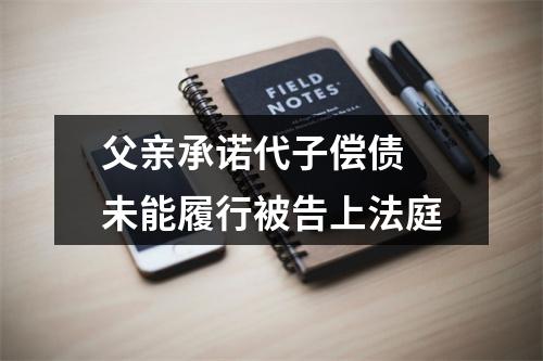 父亲承诺代子偿债 未能履行被告上法庭