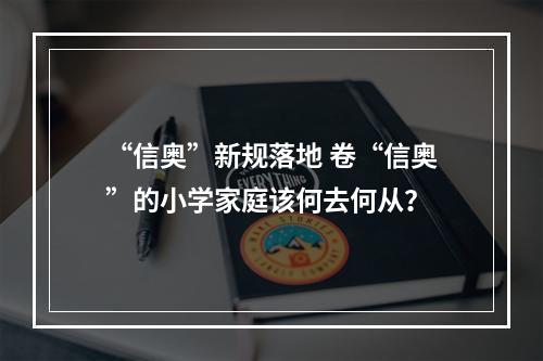 “信奥”新规落地 卷“信奥”的小学家庭该何去何从？