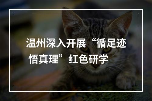 温州深入开展“循足迹 悟真理”红色研学