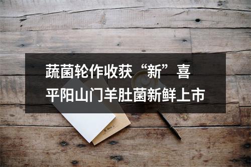 蔬菌轮作收获“新”喜 平阳山门羊肚菌新鲜上市