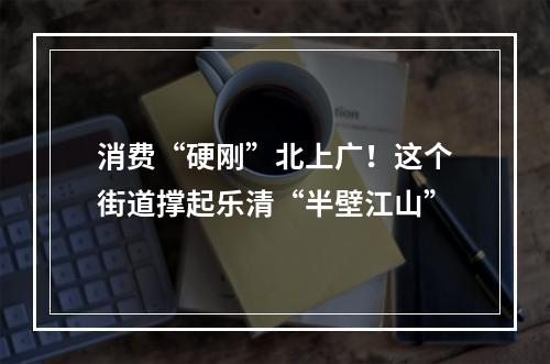 消费“硬刚”北上广！这个街道撑起乐清“半壁江山”