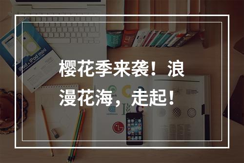 樱花季来袭！浪漫花海，走起！
