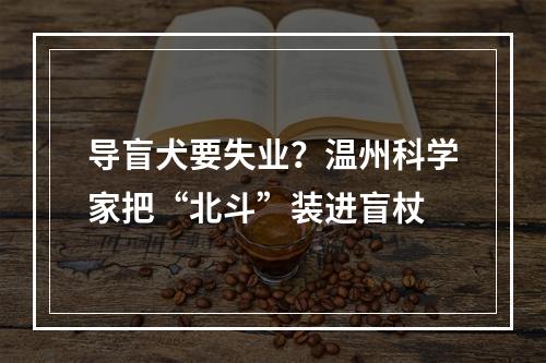 导盲犬要失业？温州科学家把“北斗”装进盲杖