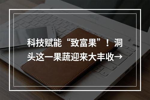 科技赋能“致富果”！洞头这一果蔬迎来大丰收→