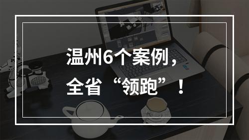 温州6个案例，全省“领跑”！