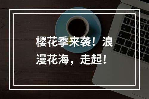 樱花季来袭！浪漫花海，走起！