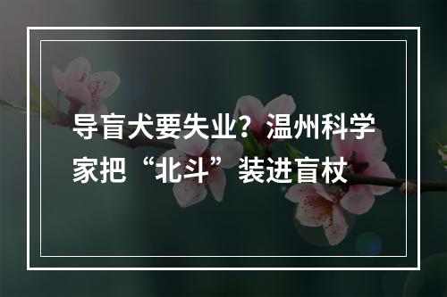 导盲犬要失业？温州科学家把“北斗”装进盲杖