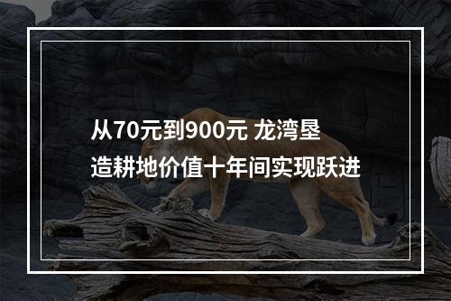 从70元到900元 龙湾垦造耕地价值十年间实现跃进