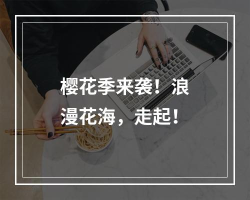 樱花季来袭！浪漫花海，走起！