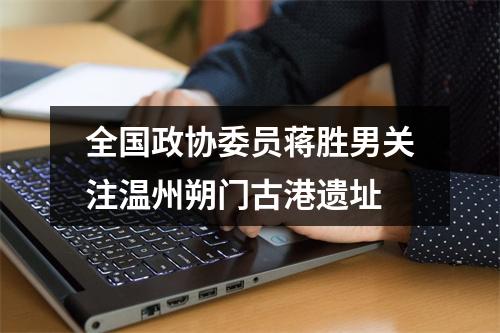 全国政协委员蒋胜男关注温州朔门古港遗址