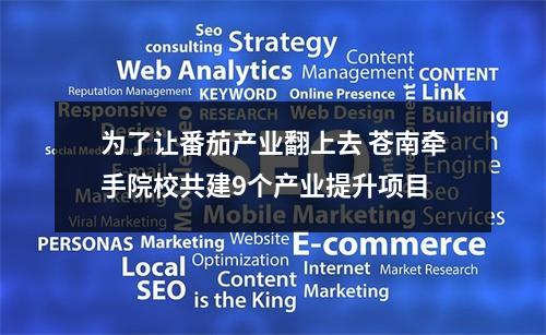 为了让番茄产业翻上去 苍南牵手院校共建9个产业提升项目