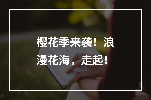 樱花季来袭！浪漫花海，走起！