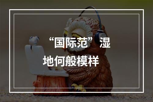 “国际范”湿地何般模样