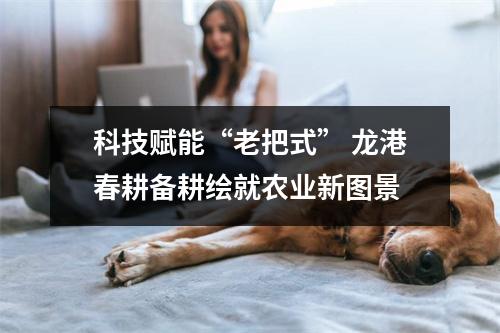 科技赋能“老把式” 龙港春耕备耕绘就农业新图景