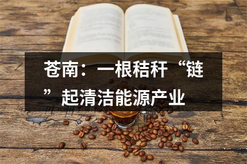 苍南：一根秸秆“链”起清洁能源产业