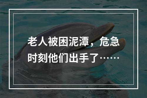 老人被困泥潭，危急时刻他们出手了……