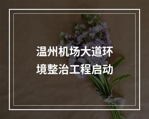 温州机场大道环境整治工程启动