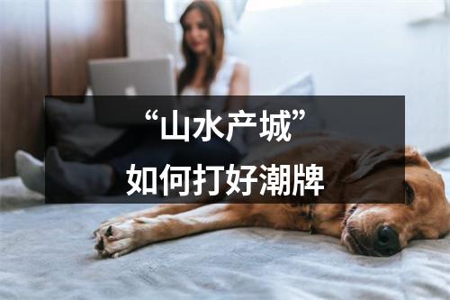 “山水产城”如何打好潮牌