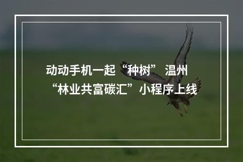 动动手机一起“种树” 温州“林业共富碳汇”小程序上线