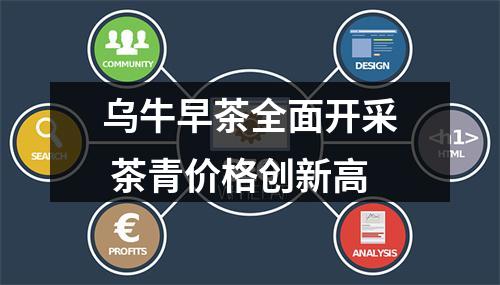 乌牛早茶全面开采 茶青价格创新高