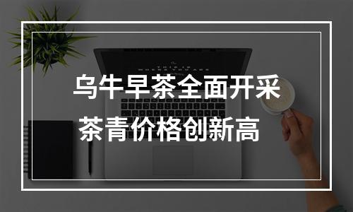 乌牛早茶全面开采 茶青价格创新高