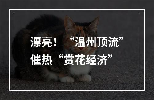 漂亮！“温州顶流”催热“赏花经济”