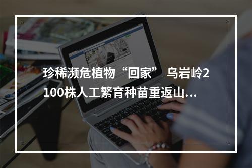 珍稀濒危植物“回家” 乌岩岭2100株人工繁育种苗重返山林