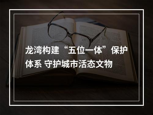 龙湾构建“五位一体”保护体系 守护城市活态文物