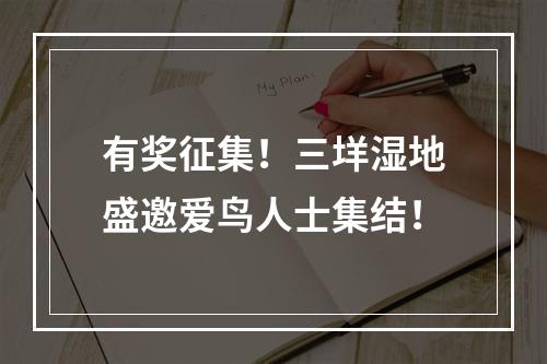 有奖征集！三垟湿地盛邀爱鸟人士集结！