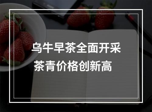 乌牛早茶全面开采 茶青价格创新高