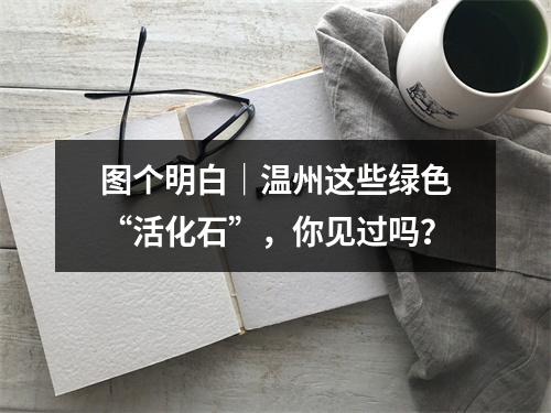 图个明白｜温州这些绿色“活化石”，你见过吗？