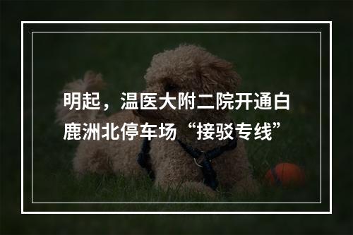 明起，温医大附二院开通白鹿洲北停车场“接驳专线”