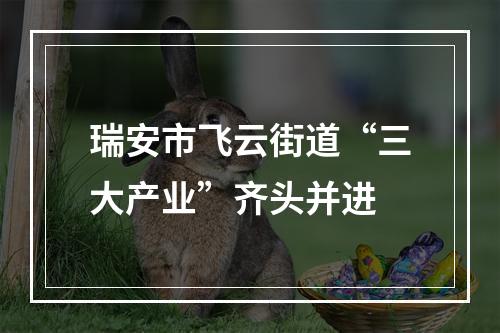 瑞安市飞云街道“三大产业”齐头并进