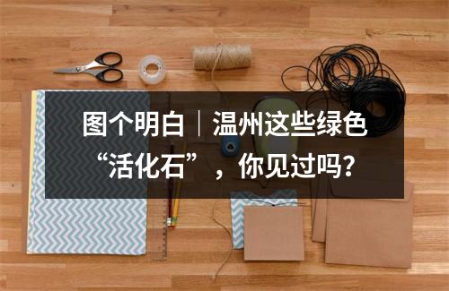 图个明白｜温州这些绿色“活化石”，你见过吗？