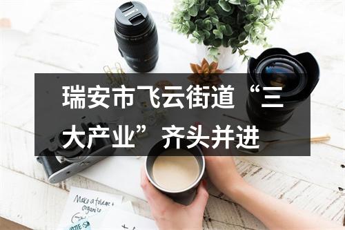 瑞安市飞云街道“三大产业”齐头并进