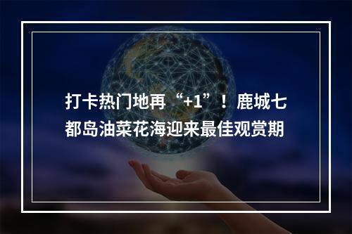 打卡热门地再“+1”！鹿城七都岛油菜花海迎来最佳观赏期